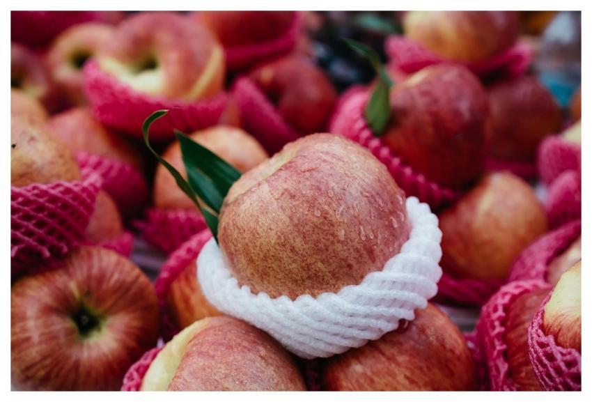 Red Windows Wallpaper Apple Fresh