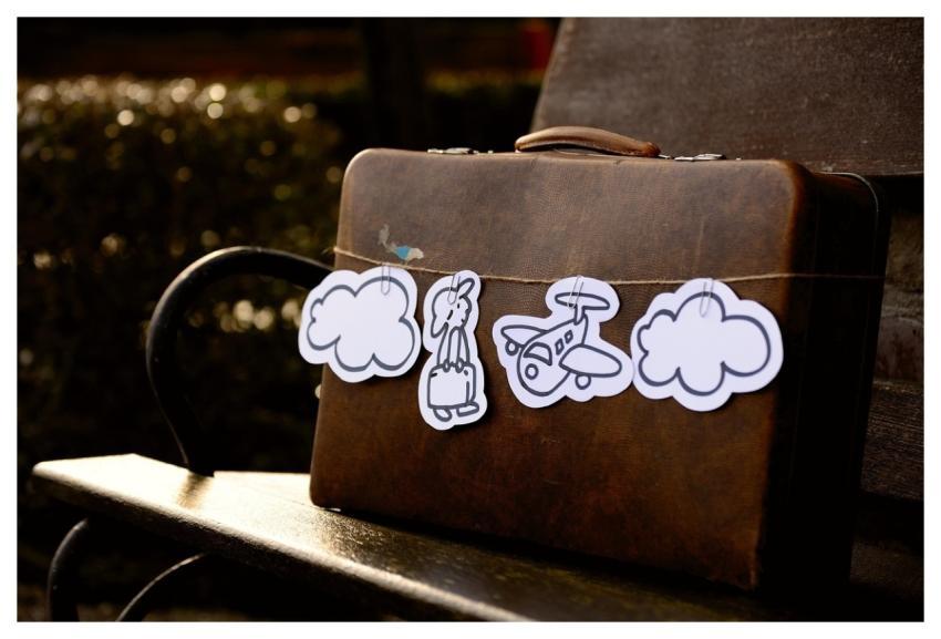 Connection Airline Travel Suitcase Vacations