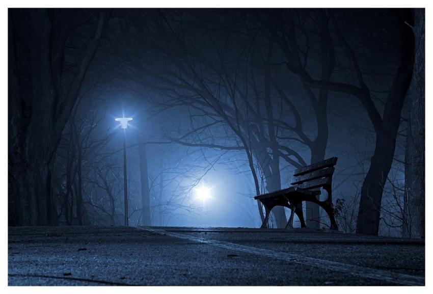 Park Bench Night Evening