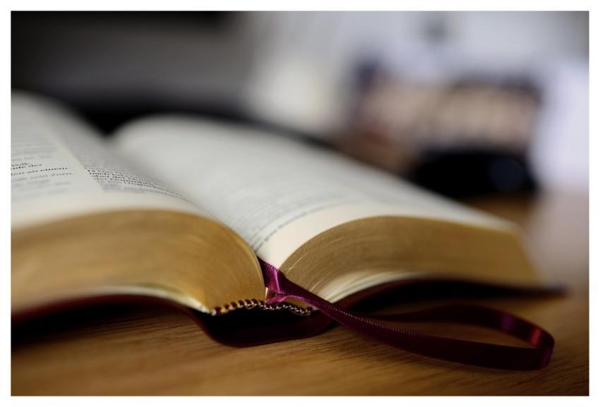 Book Bible Book Pages Read