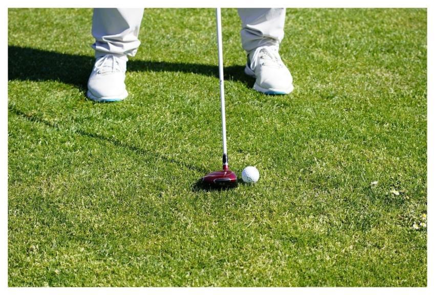 Golf Sport Fairway Fairway Wood