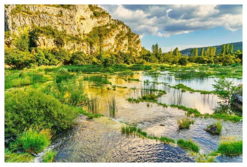 Water River Nature Landscape