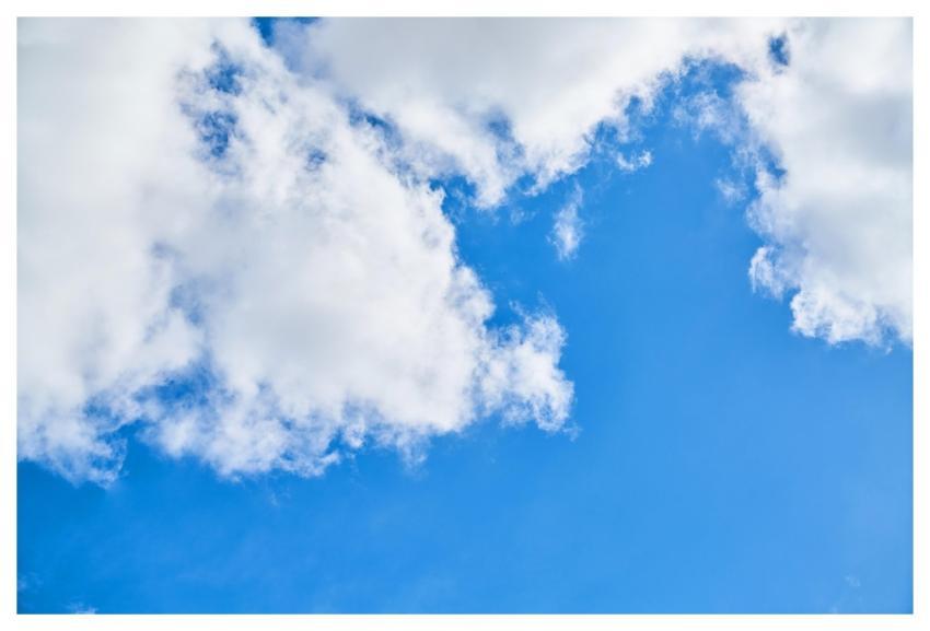 Abstract Nature Pattern Spring