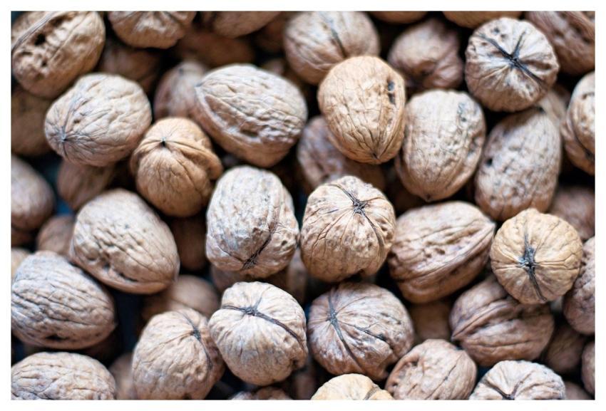 Nuts Walnuts Shell Hard