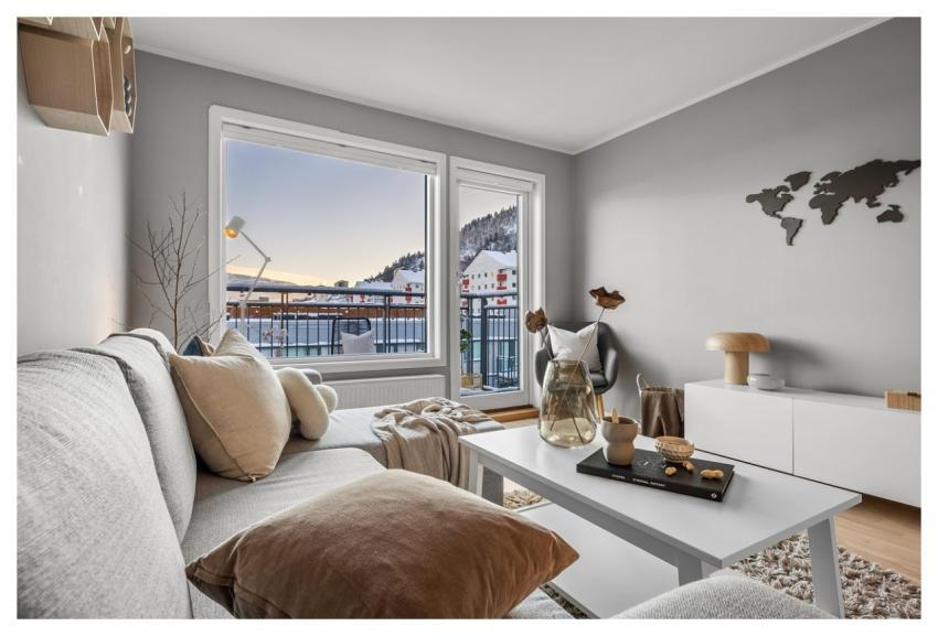 Real Estate Living Room Couch Cushion