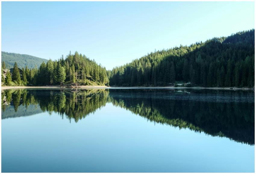 Serene view of a mountain lake with forest reflect