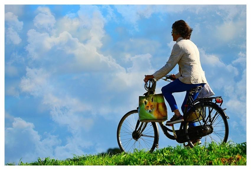 Man Bicycle Travel Cyclist