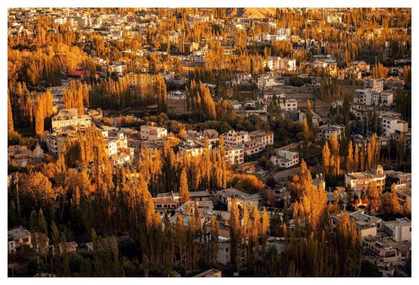 Town Fall India Royal Spirit