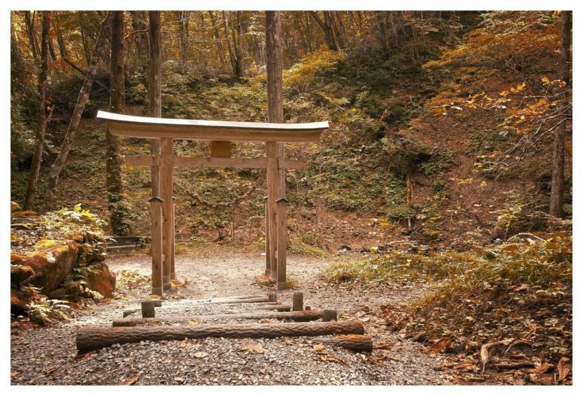 Torii Japan Autumn Season