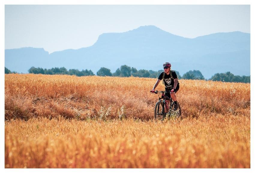 Cycling Cyclist Path Wheat Field