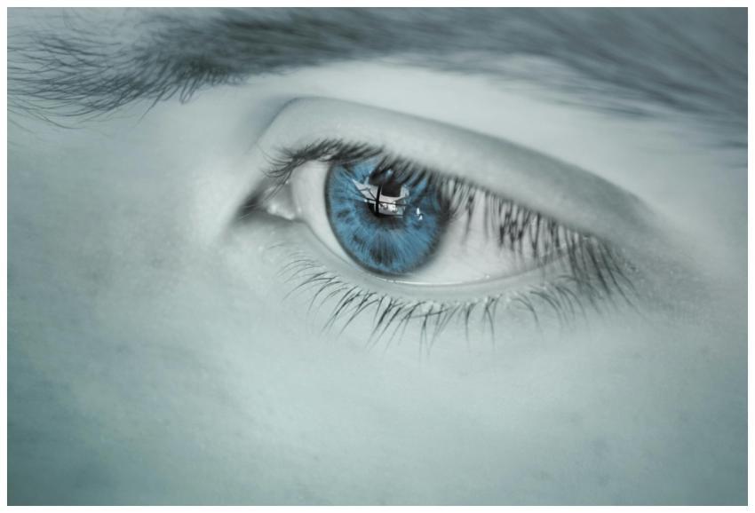 Detailed close-up of a blue eye showing a reflecti