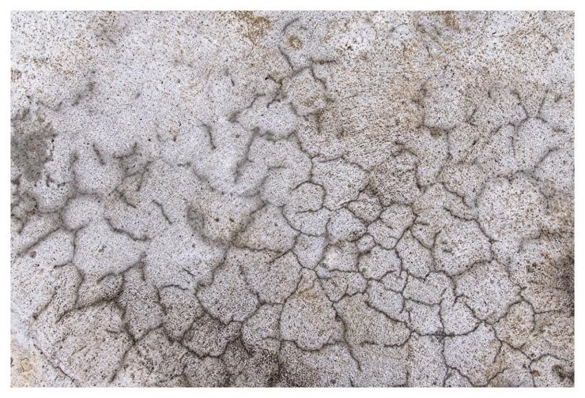 Facade Windows Wallpaper 4K Wallpaper Free Backgro