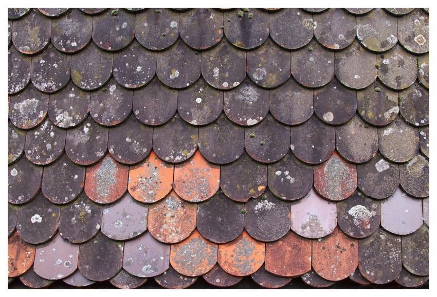 Roof Roof Tiles Tile Roof Beavertail