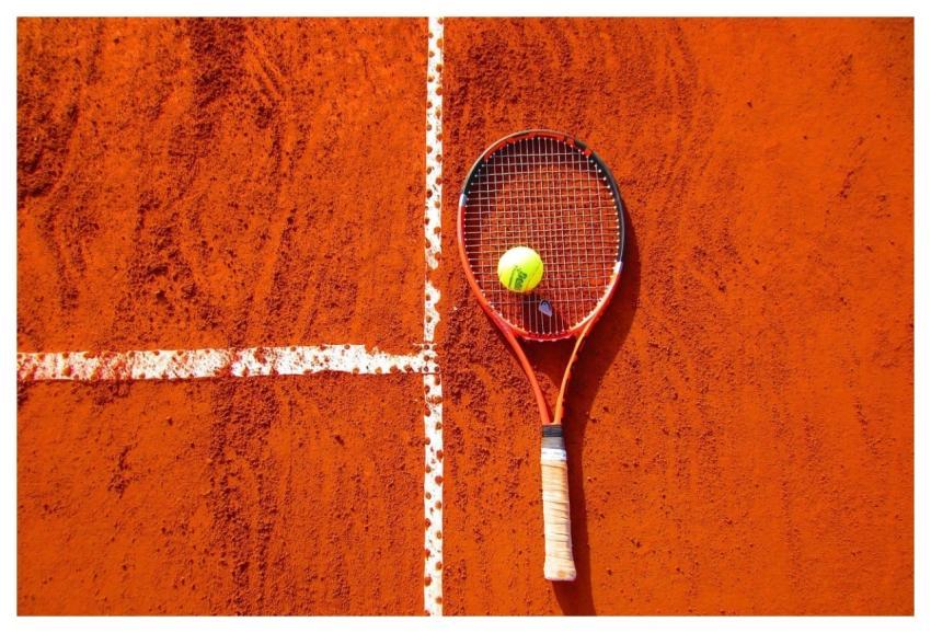 Tennis Sport Tennis Ball Cynthiamcastro