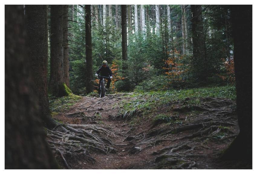 Trail Riding Trail Cycling Nature Forest