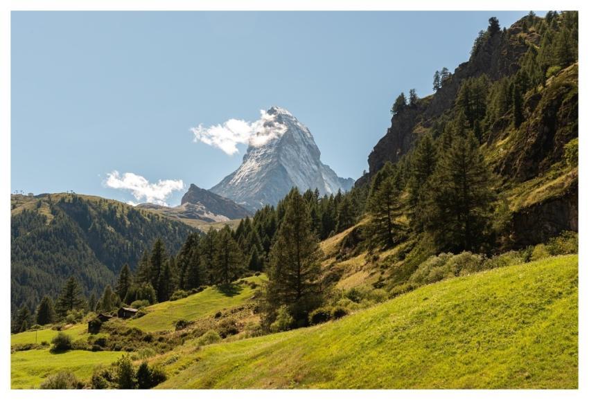 Mountains Trees Pine Forest Autumn