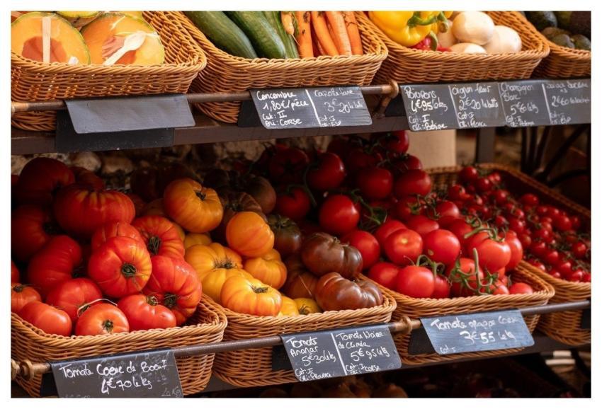 Corsica Tomatoes Calvi Vegetables