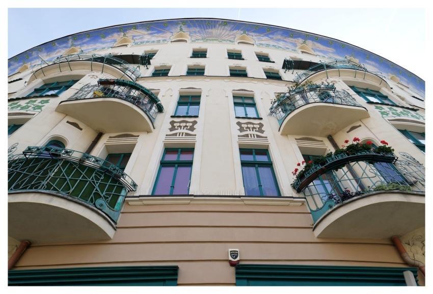 Building Flower Wallpaper Flower Background Beauti