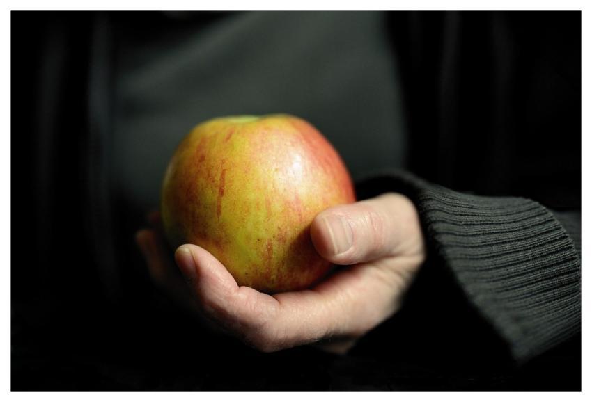 Apple Hand Keep Fruit