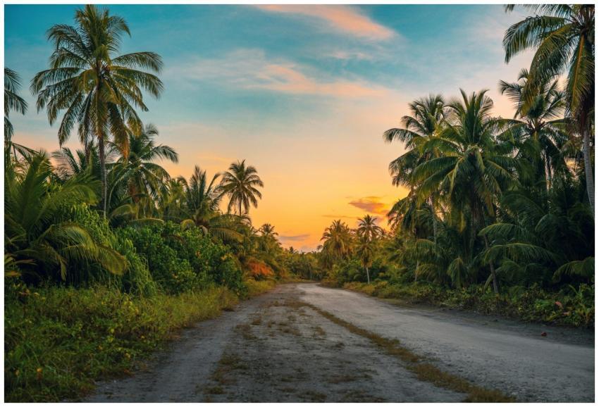 Serene tropical road in the Maldives with palm tre