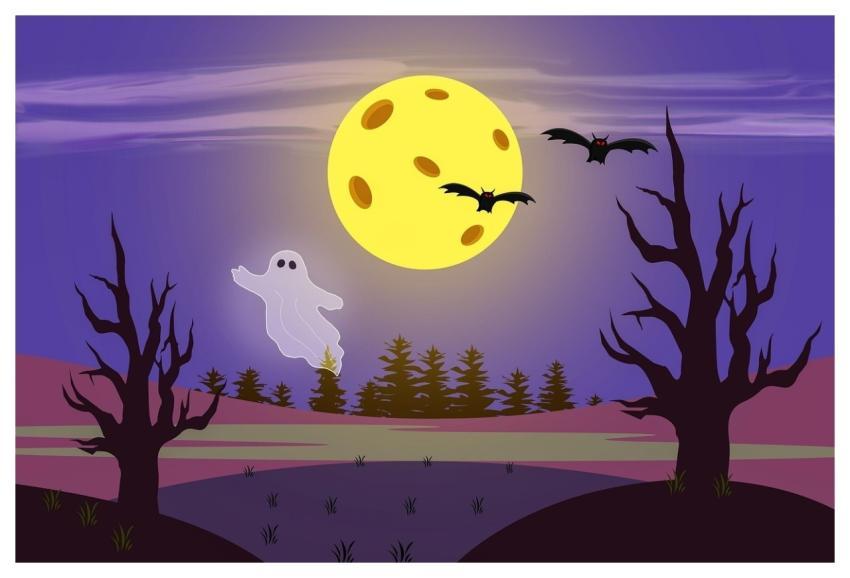 Moon Bats Nature Dead Trees