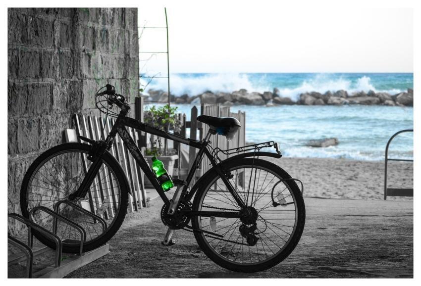 Bicycle Pedals Wheels Nature