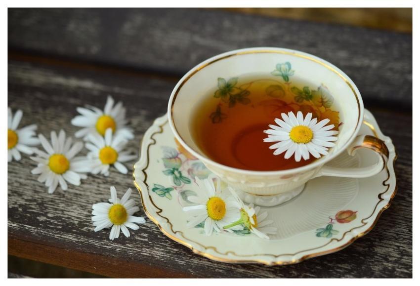 Cup Tee Porcelain Tea Cup