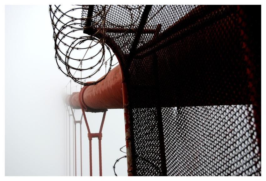 Bridge Fog California Metal