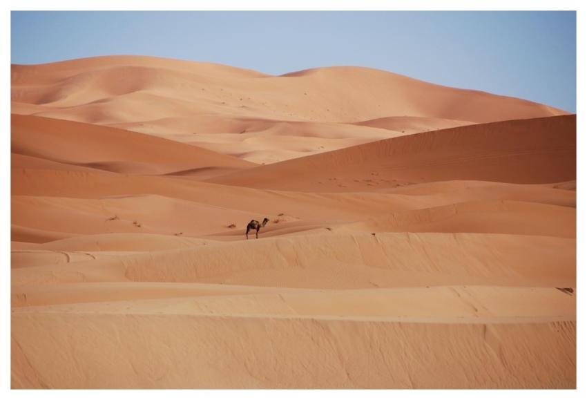 Desert Sand Dunes Morocco