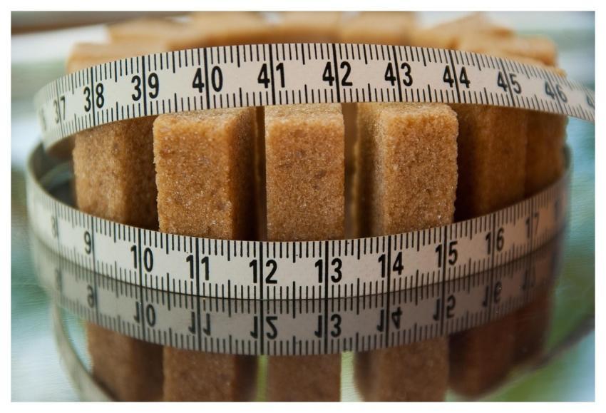 Sugar Calories Diet Sugar Factory