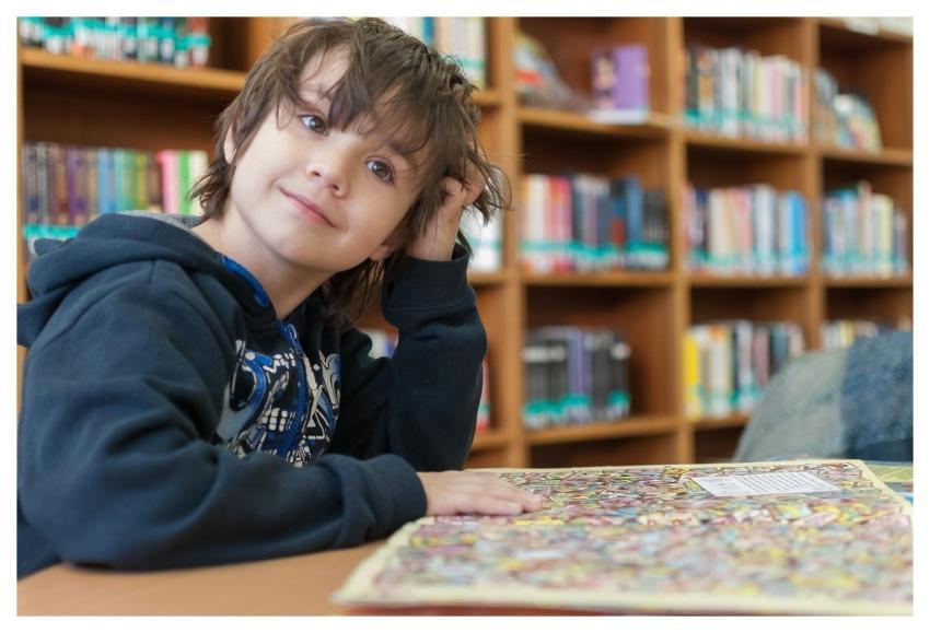 Shelf Library Education Inside