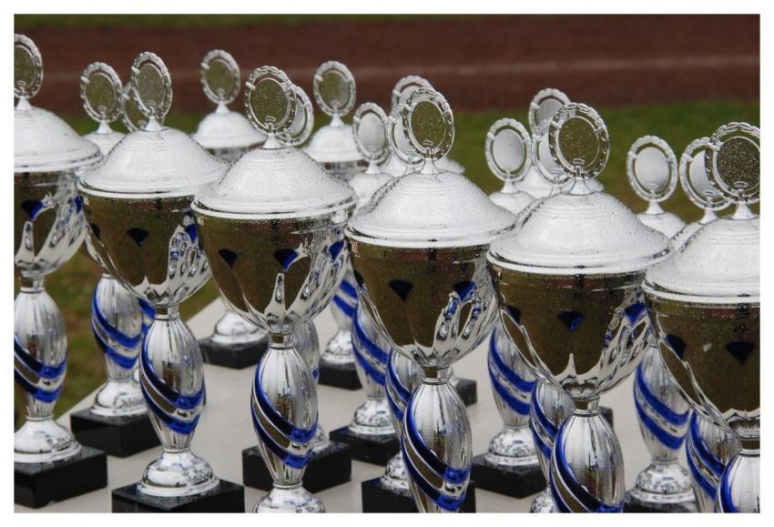 Sport Cup Trophy Winner