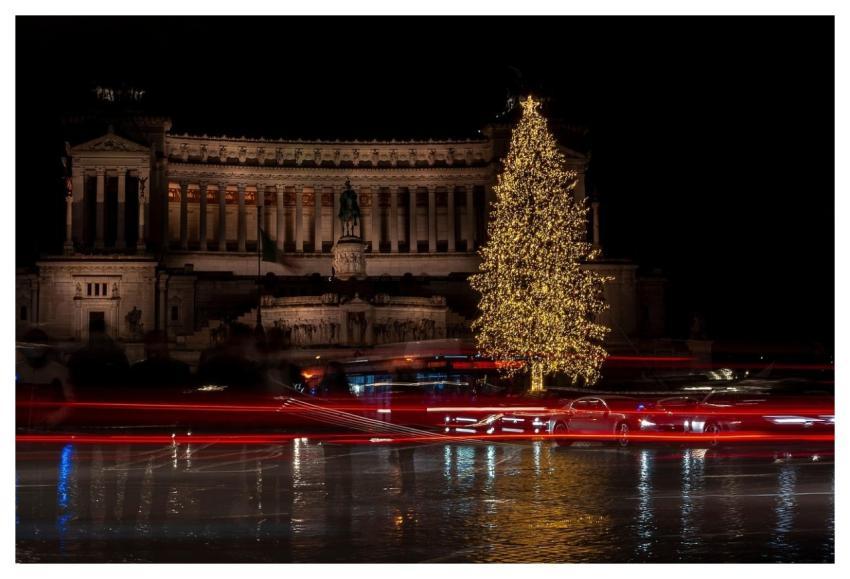 Christmas Tree Building Urban City