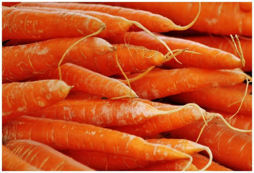 Vibrant close-up of fresh orange carrots, perfect