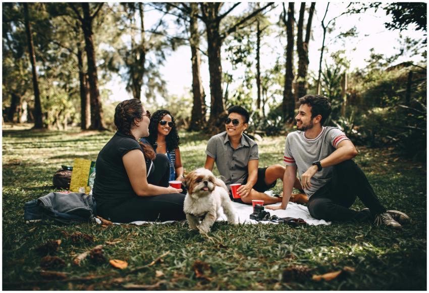Friends having a fun picnic in the park with a Shi