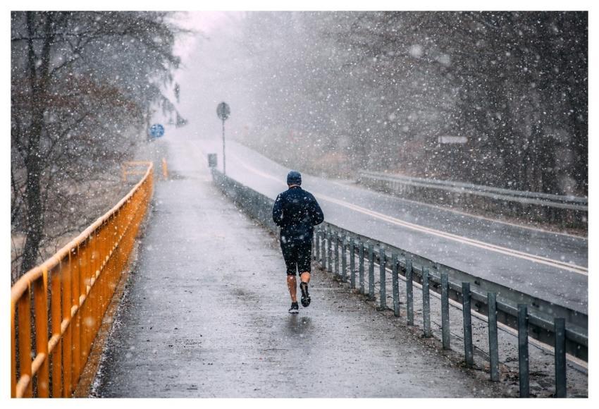 Guy The Path Street Trees