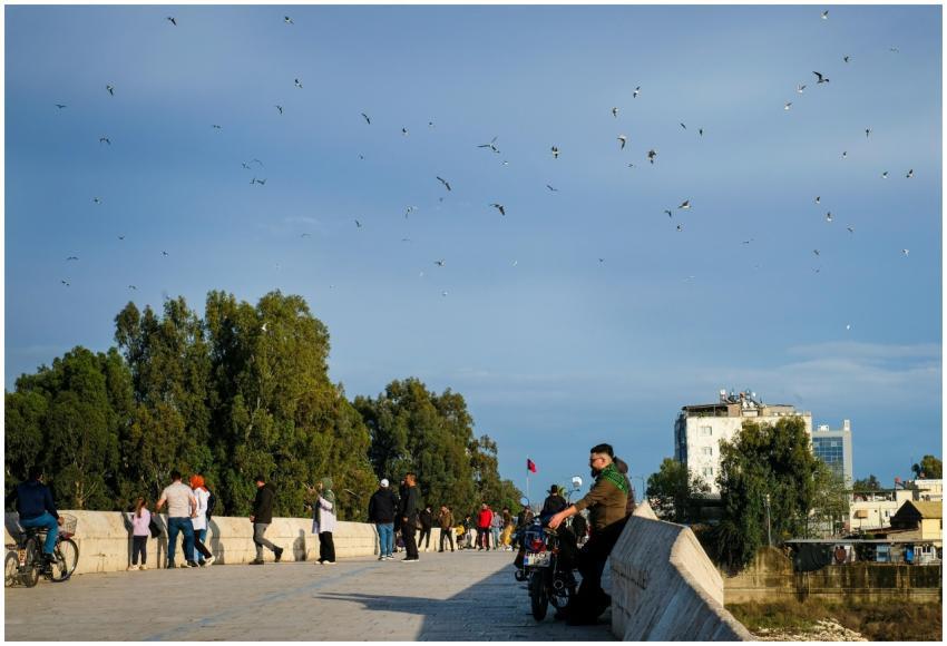 A lively scene on a sunlit walkway with people, tr