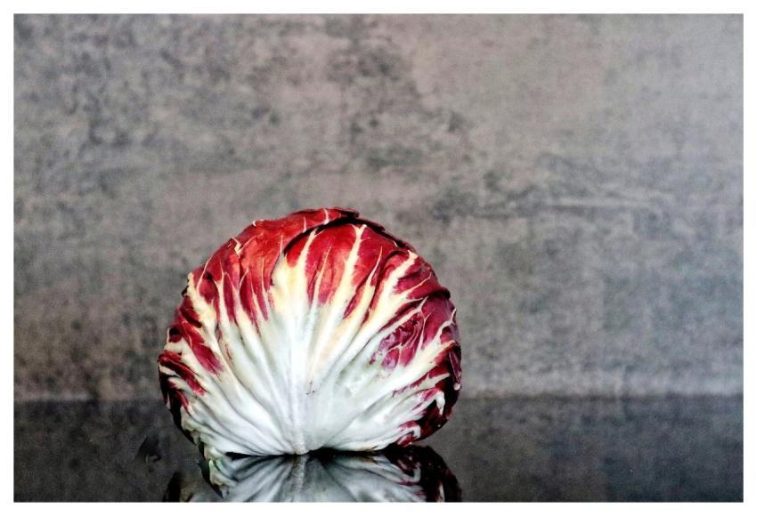 Salad Radicchio Food Health Food