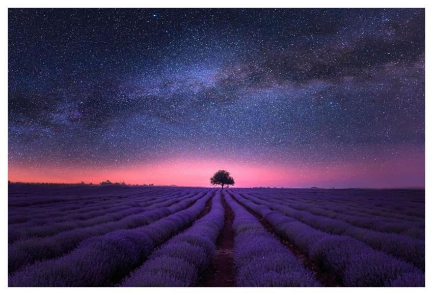 Fields Night Sky Night Stars