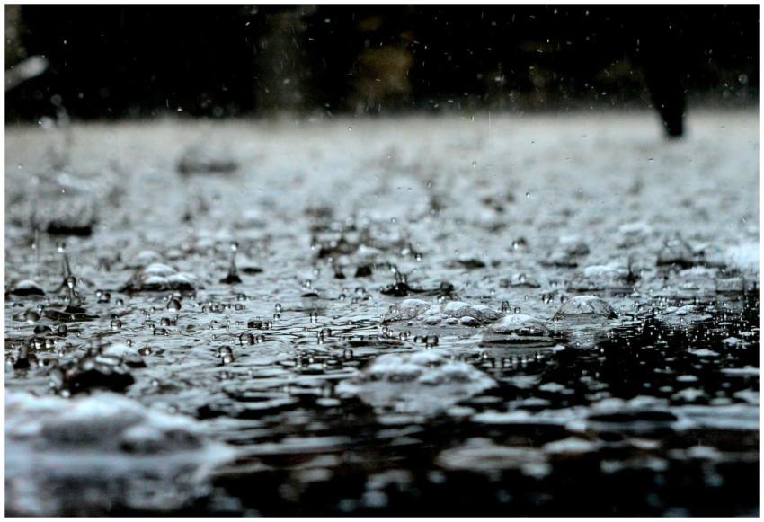 Detailed close-up of raindrops on a surface, captu