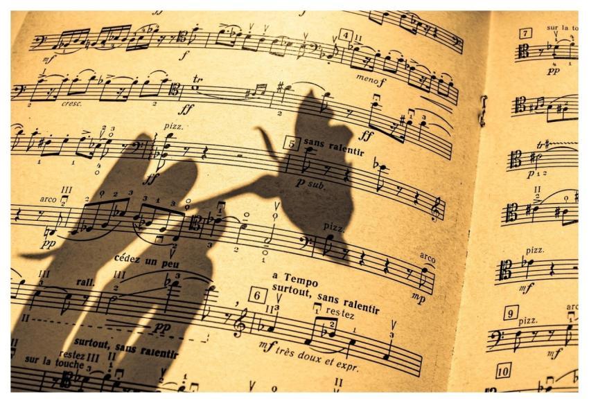 Music Sheet In A Shadow Flute Piano