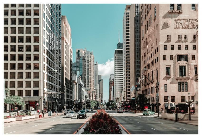 Chicago City Building Nature