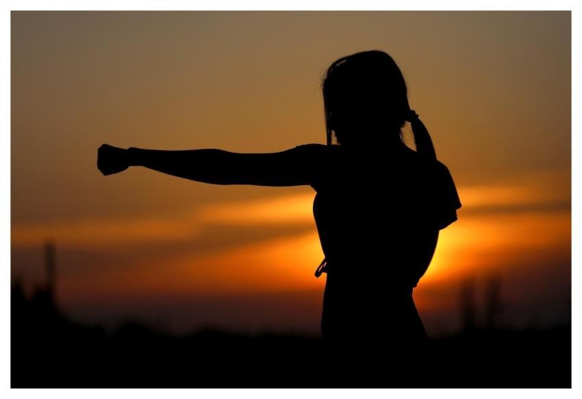 Karate Sunset Fight Sports