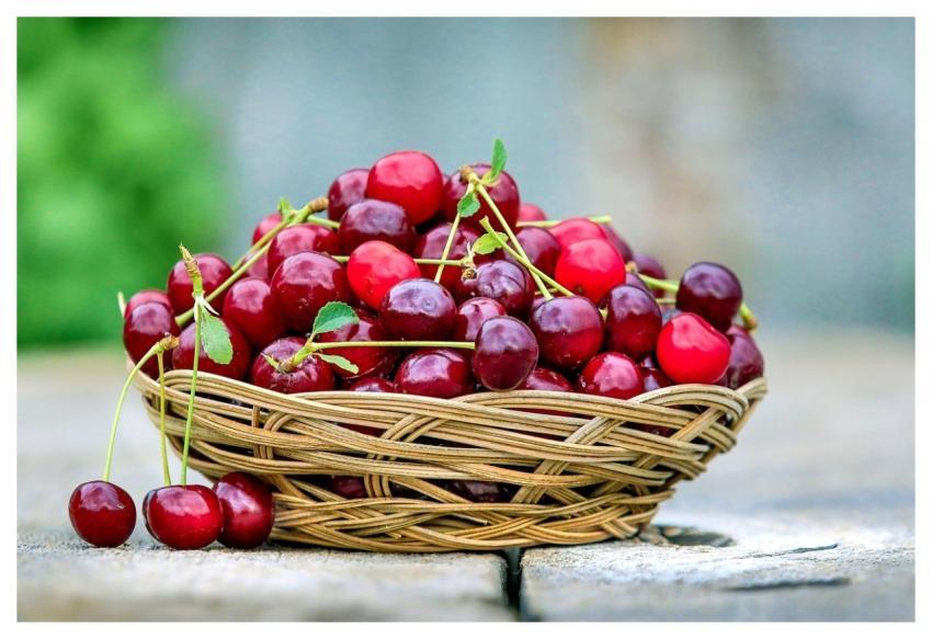 Cherry Basket Berry Ripe