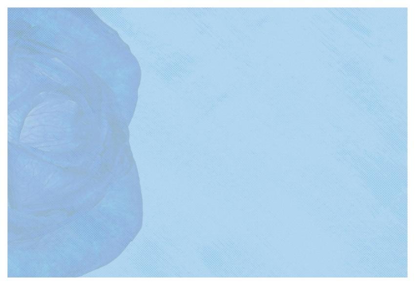 Abstract Beautiful Flowers Flower Wallpaper Grunge