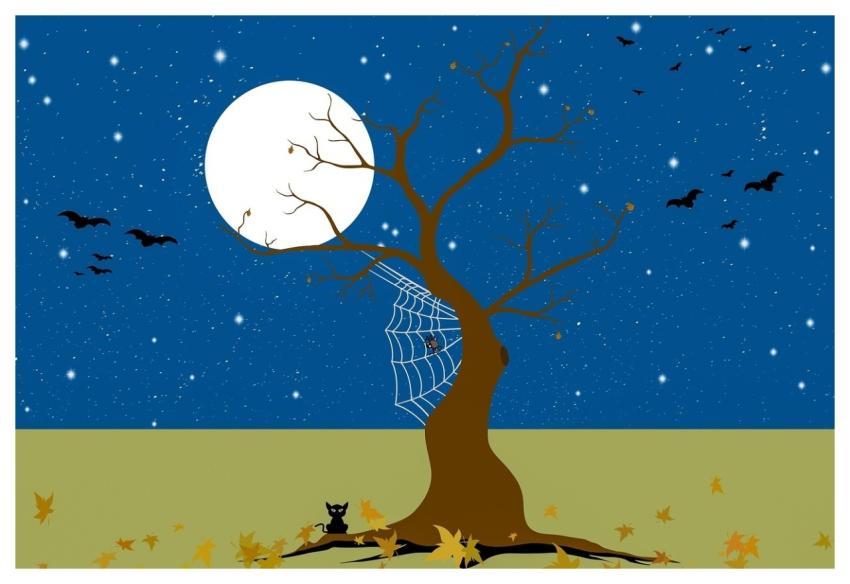 Bats Autumn Fall Hd Wallpaper