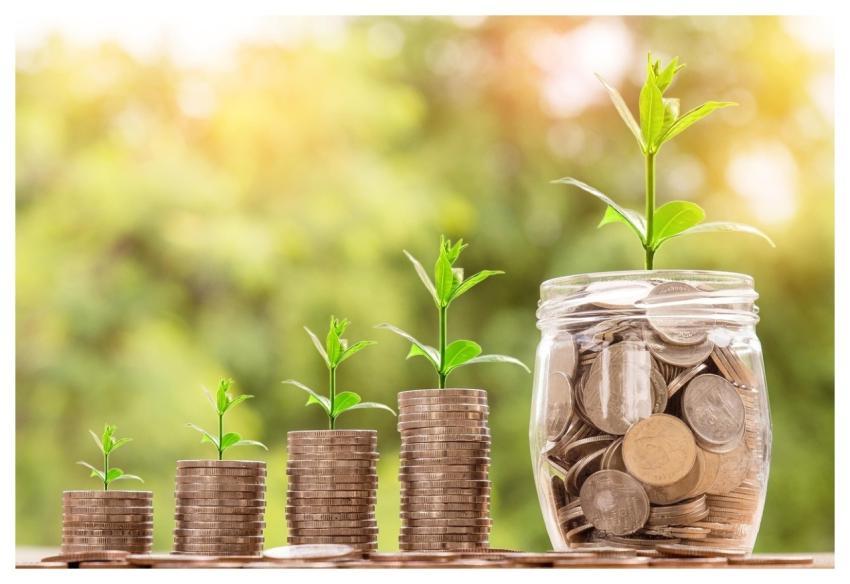 Money Coin Investment Business