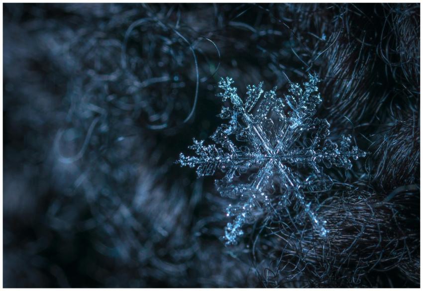 Detailed macro photo of a single snowflake resting