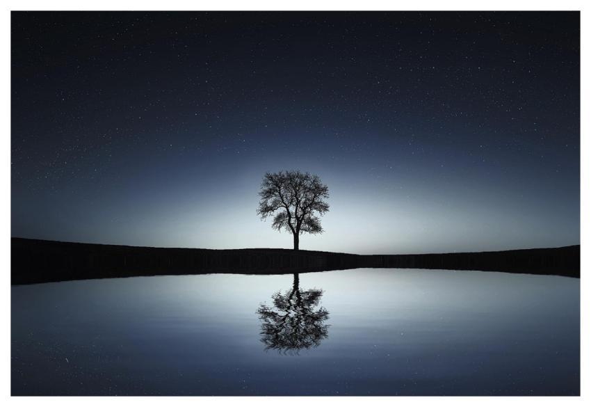 Tree Lake Reflection Night Sky