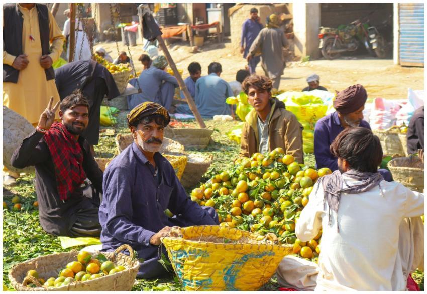 Free stock photo of crowd, fruit sller, sabzi mand